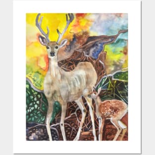 Patricia's Deer Posters and Art